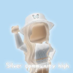 Silver Community High School