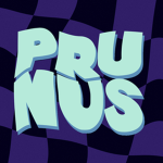 Prunus Studios