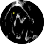 Eye of the Storm