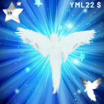 Yml22 $