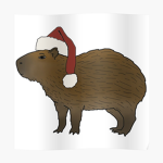 Capybara team