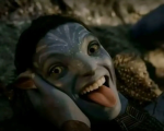 Jalis sum djenaira