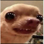 TheStinkyMen5