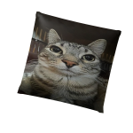 Zazu cat