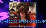 Choco’s Official Group