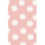 ... Aesthetic daisy's ...