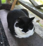 Cat group!!!!!!!!!!!!!!!!!!!!!!!!!!!!