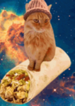 KebabCat Studio