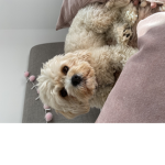 Hollie <3