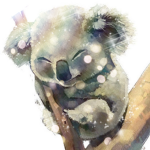 Aesthtic Koalas