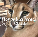 FloppaLuckIsReal CLUB