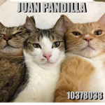 juan pandilla.