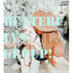 -butterflys group-