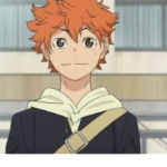 Shoyo Hinata Cult
