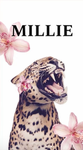 -Millie’s aupparel-