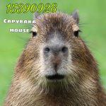 capybara house