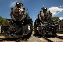 train