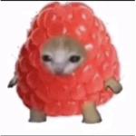 Catplant