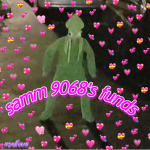 samm 9068's funds