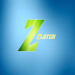 zClutch group