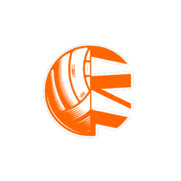 Instant Volleyball