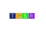 The Gamer Bros of Roblox