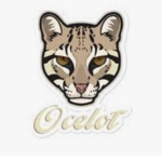 - Ocelot Acting club!! -