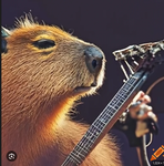 the capybara cabin