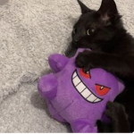 roxbuxer