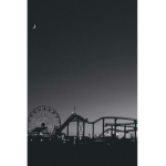Dust Bunniez