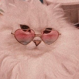 Aesthetic People obby!