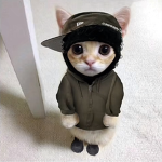 nlyy