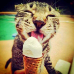 Lolly_Sam