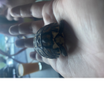 Turtles69 hojaaaa