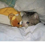 _[softies]_