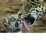 Leopard Design