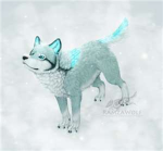 Water Wolves W.W