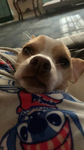 ~hi potato~