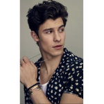 “Shawn mendes”