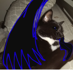 Ý Ī Ň Ý Å Ň Ğ