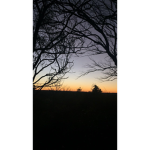 chloe_N435