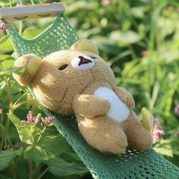 ✿