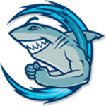 The Miami Sharks™