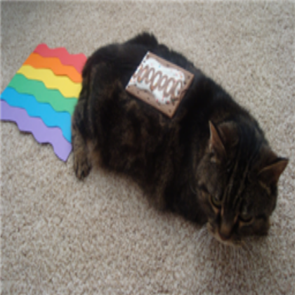 real nyan cat Roblox decal
