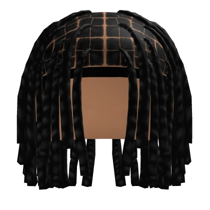 hair 2 Roblox item thumbnail