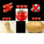 Potato’s ducks and tomato’s