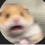Floopa fam :-