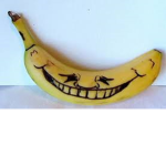 Banana PC SHOP-Users Only