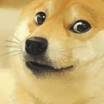 The Doge Dominion!!!