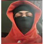 PocketsDhc